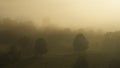 Bonita foto de una zona rural al amanecer con la niebla entre los arboles