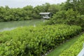 Bonita springs canal