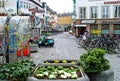 BONN, GERMANY - APRIL 2, 2018: The first spring flowers adorn the old streets of Bonn