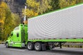 Bonnet American big rig semi truck transporting cargo in refrigerator semi trailer driving on the autumn road with yellow trees Royalty Free Stock Photo