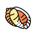 bonnet sea shell beach color icon vector illustration