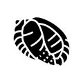 bonnet sea shell beach glyph icon vector illustration