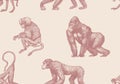 Bonobo or chimpanzee Seamless pattern. Western gorilla Orangutan. Vintage poster or banner. Colombian capuchin Proboscis