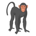 Bonobo monkey icon, cartoon style
