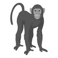 Bonobo monkey icon monochrome