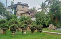 Bonsai art that has won the beauty competition