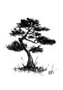 Bonsai asian tree retro old line art etching