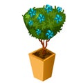 Bonsai with blue flowers isolated on white background. Vector cartoon close-up illustration.