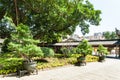 Bonsai in court of Guangxiao Temple in Guangzhou Royalty Free Stock Photo