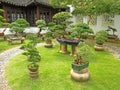 Bonsai Garden