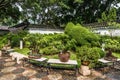 Bonsai garden Kowloon Walled City Park Hong Kong Royalty Free Stock Photo