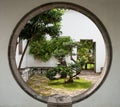 Bonsai garden, Singapore