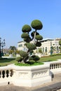 Bonsai, Grand palace