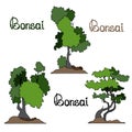 258 bonsai, vector illustration, isolate on a white background