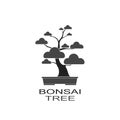 Bonsai icon decorative small tree growing in container. Japanese tree isolated on white background.