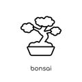 Bonsai icon from Ecology collection.