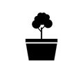 Bonsai icon illustrated