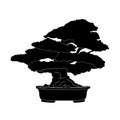 Bonsai icon