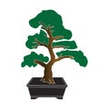 Bonsai icon