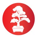 Bonsai icon