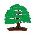 Bonsai icon