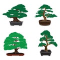 Bonsai icon