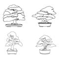 Bonsai icon