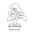 Bonsai icon