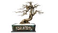 Bonsai potted landscape miniascape dishgarden garden art