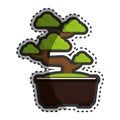 Bonsai japanese culture isolated icon