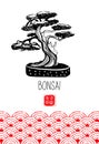 Bonsai. Japanese miniature tree. Vector hand drawn illustration