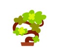 Bonsai Japanese Tree, Plant Grown in Pot Icon