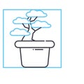 bonsai line icon, outline symbol, vector illustration, concept sign