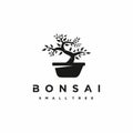 Bonsai logo design. Japanese Mini Small Plant Tree on Pot Silhouette logo design Royalty Free Stock Photo