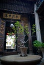 A bonsai on an old table inside traditional Peranakan house in Penang, Malaysia.