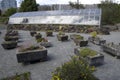 Bonsai outdoor UBC Botanical garden. Royalty Free Stock Photo