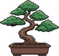 Bonsai Pine in Rectangular Pot Royalty Free Stock Photo