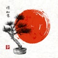 Bonsai pine tree hand drawn with ink Royalty Free Stock Photo