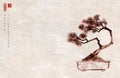 Bonsai pine tree on vintage background. Traditional oriental ink painting sumi-e, u-sin, go-hua. Hieroglyph - prosperity