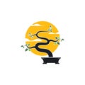 bonsai plant icon vector illustration design
