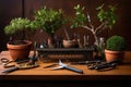 bonsai pruning tools arranged on a wooden table