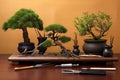bonsai pruning tools arranged on a wooden table