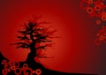 Bonsai on red background - Vector