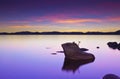 Bonsai Rock Sunset Royalty Free Stock Photo