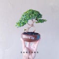 Bonsai Sancang uniq and beauty Royalty Free Stock Photo