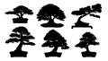 Bonsai silhouette Royalty Free Stock Photo