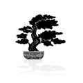 Bonsai silhouette over a white background Royalty Free Stock Photo