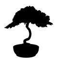 Bonsai Silhouette Royalty Free Stock Photo