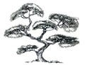 Bonsai spruce in oriental style. Branchy coniferous tree.Ink drawing.