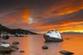 Bonsai Sunset Tahoe Royalty Free Stock Photo